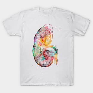 Kidney section T-Shirt